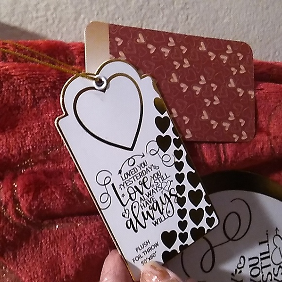 BUY NOW-Last one-NWT Plush Foil Throw - Picture 3 of 11